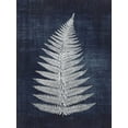 thumbnail image 2 of Brown, Denise 15x18 White Modern Wood Framed Museum Art Print Titled - Fern 1, 2 of 4