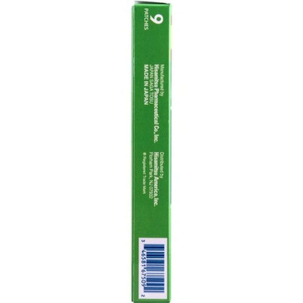 Salonpas Pain Relief Patch Large (Pack of 3)