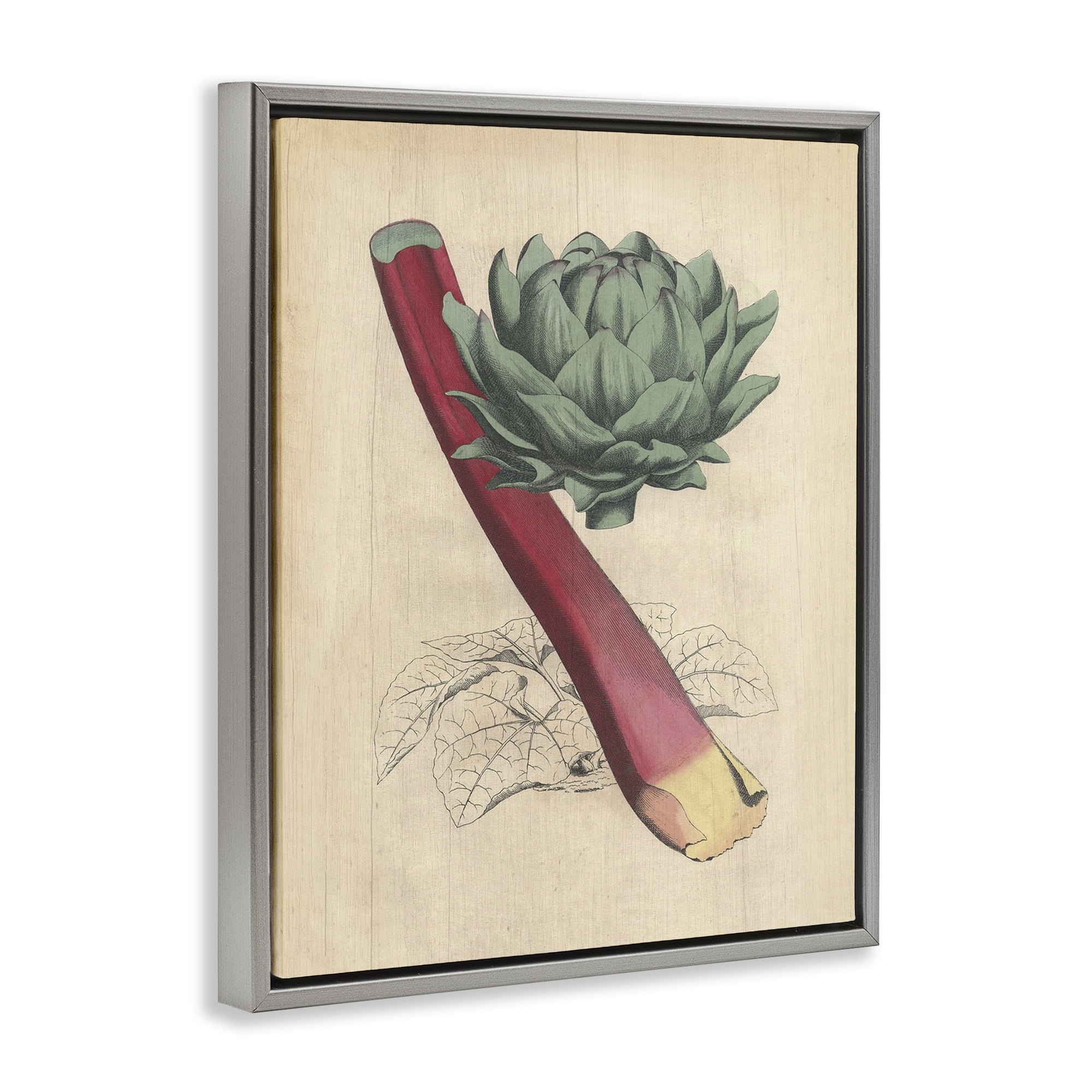 Stupell Industries Vintage Vegetable Studies Food & Beverage Painting Gray Floater Framed Canvas Art Print Wall Art, 17 x 21