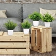 thumbnail image 5 of Small Fake Plant Flowerpot Artificial Plastic Eucalyptus Plant Wheat Grass Shrub Plant Indoor Desk Coffee Table Bathroom Bedroom Home Decoration (4), 5 of 7