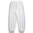 Elastic Waist Pants Men 2024 Spring Summer Autumn Winter New Japanese
