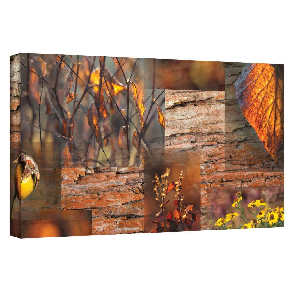 ArtWall Cora Niele "October Light" Gallery-Wrapped Canvas