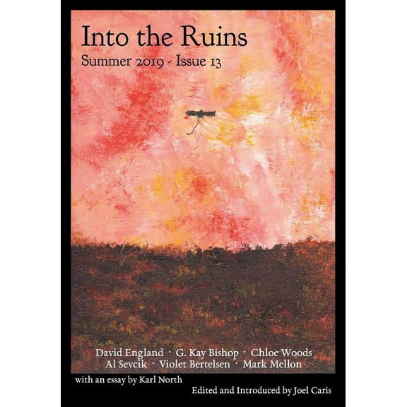 Into the Ruins: Summer 2019 (Issue 13) (Paperback)
