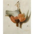 thumbnail image 3 of Jacobus Biltius 12x14 Black Modern Framed Museum Art Print Titled - A Trompe L’Oil with a Willow Ptarmigan&nbsp;Hanging from a Nail (1665), 3 of 5