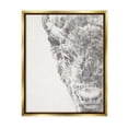 thumbnail image 3 of Stupell Industries Detailed Graphite Bison Rural Farm Animal Drawing Drawing Print Metallic Gold Floating Framed Canvas Print Wall Art, Design by Ethan Harper, 3 of 5