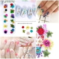 thumbnail image 3 of 90 Uds. Flores secas para uñas, 36 colores, arte 3D para uñas, flores reales, pétalos secos naturales, decoración de hojas para decoración de manicura, 3 of 5