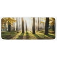 thumbnail image 1 of Forest Kitchen Mat, Landscape Sunrise in the Forest Leaves in Seasonal Woodland Scenery Photo, Plush Decorative Kitchen Mat with Non Slip Backing, 47" X 19", Yellow Green Brown, by Ambesonne, 1 of 1