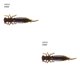 thumbnail image 2 of Soidarity 10 Uds. De cebos de insectos de simulación, señuelos de pesca portátiles, cebos de pesca suaves reutilizables, 55MM, tipo N norte 55MM 2piezas Soidarity CBP149424, 2 of 6