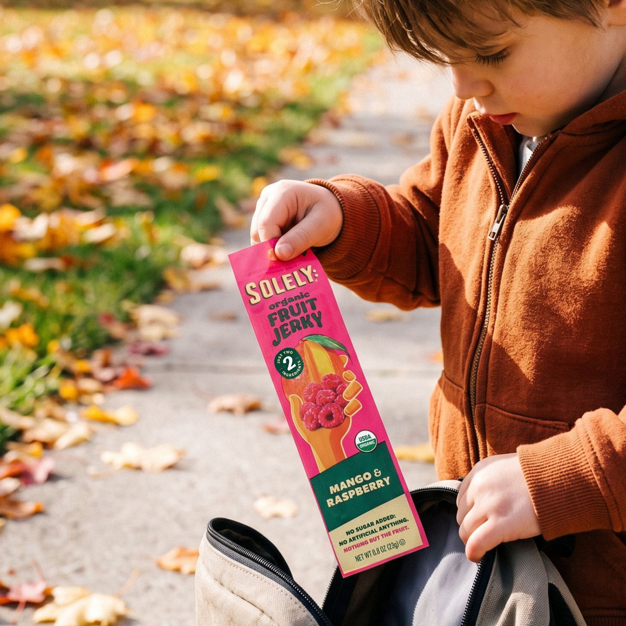 Solely Mango & Raspberry Organic Fruit Snack Jerky, 0.8 oz
