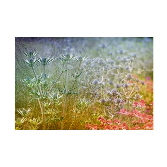 Steve Moore 'Rainbow' Canvas Art