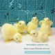 thumbnail image 2 of Realistic Chick Decoration Furry Animal Doll Simulation Sound Chicken Soft Plush Toy Easter DIY Miniature Chicken Toys For Kids, 2 of 5
