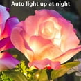 thumbnail image 6 of sruoe Outdoor Patio Garden Lights Decor, Stake Lamp, Waterproof Solar Lights Outdoor, Ground Lights Decoration, Flowers Stake Lights for Outside Yard Lawn Ornaments, 6 of 7