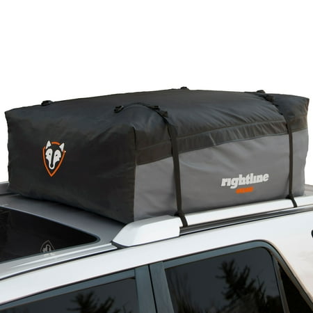 Snow Sport Carrier - Rightline Gear Sport 2 Car Top Carrier, 100S20