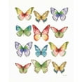 thumbnail image 2 of Audit, Lisa 15x18 Black Ornate Wood Framed with Double Matting Museum Art Print Titled - Colorful Breeze Butterflies, 2 of 4