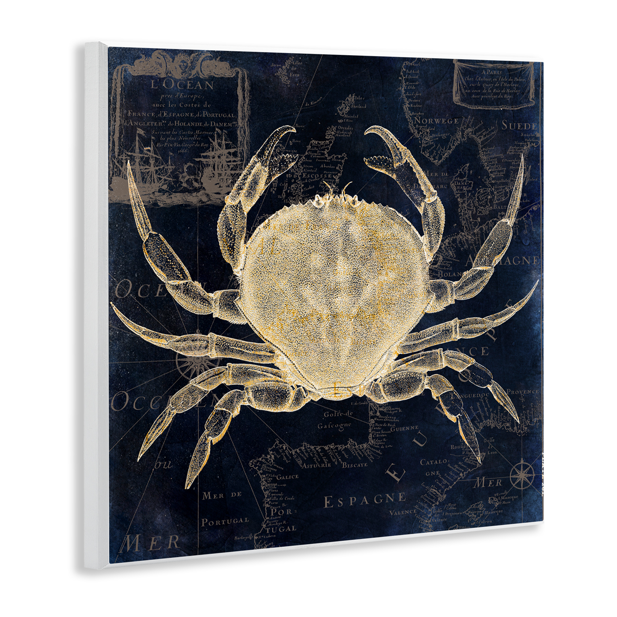 Crab Contour over Map Wall Plaque Art, design by Sasha