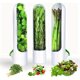 thumbnail image 4 of 3 Piezas de Contenedores para Almacenar Verduras, Tazas para Hierbas Frescas, Organizador de Cocina y Caja de Almacenamiento, 4 of 5