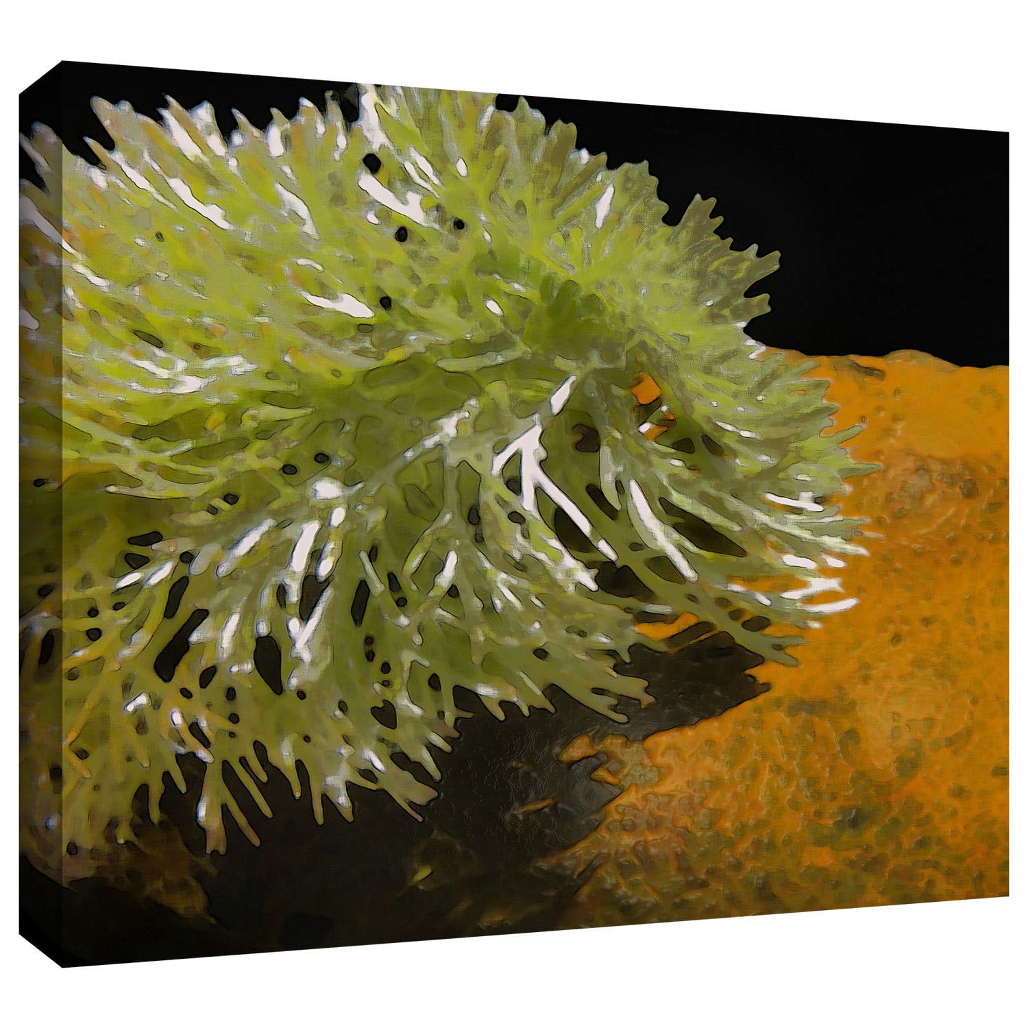 Dean Uhlinger "Natural Selection" Gallery-Wrapped Canvas