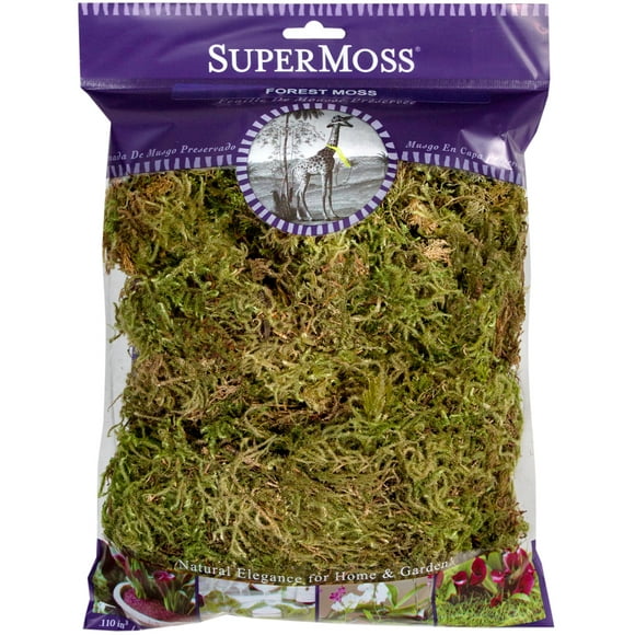 Forest Moss Dried 4Oz-