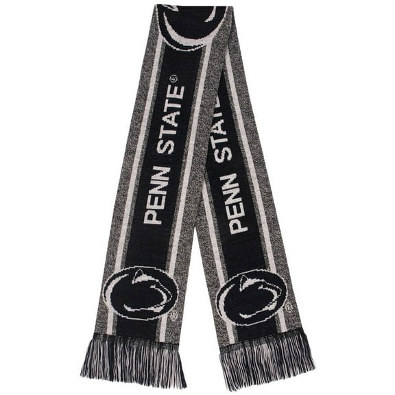 FOCO NCAA Penn State Nittany Lions Gray Big Logo Scarf (66")
