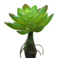 thumbnail image 1 of Coofit Mini Artificial Succulent DIY - Faux Succulent Plant Plastic Greenery Decoration, 1 of 3