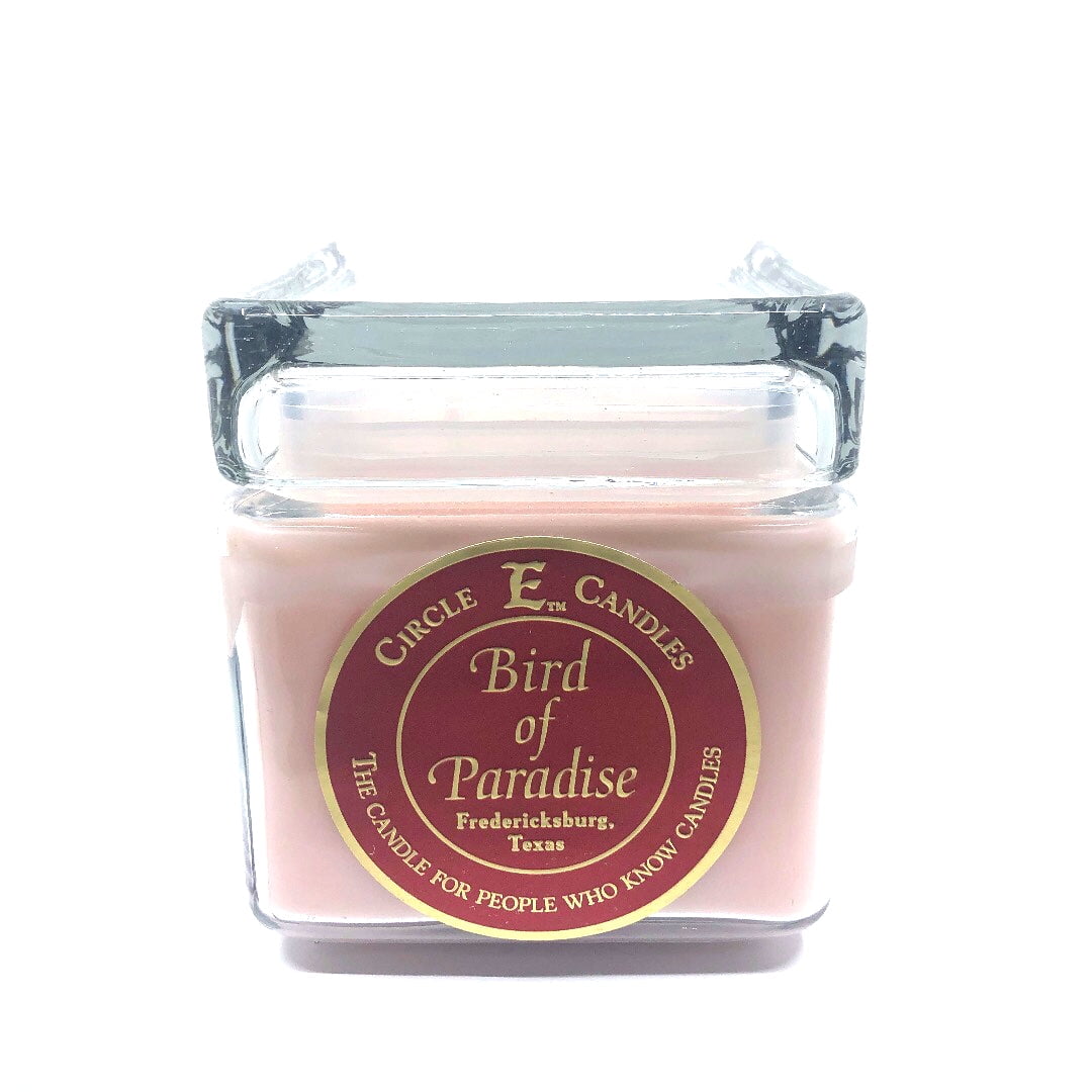 Circle E Candles, Bird of Paradise Scent, Large Size Jar Candle, 32oz
