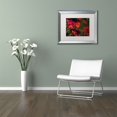 thumbnail image 2 of Trademark Fine Art "Beauty of Summer Blooms Red" Canvas Art by Kurt Shaffer, White Matte, Silver Frame, 2 of 4