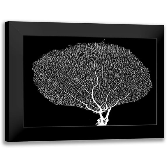 Murdock, Ramona 18x13 Black Modern Framed Museum Art Print Titled - Fan Coral Drama