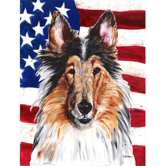 Collie With American Flag USA Flag Canvas House Size