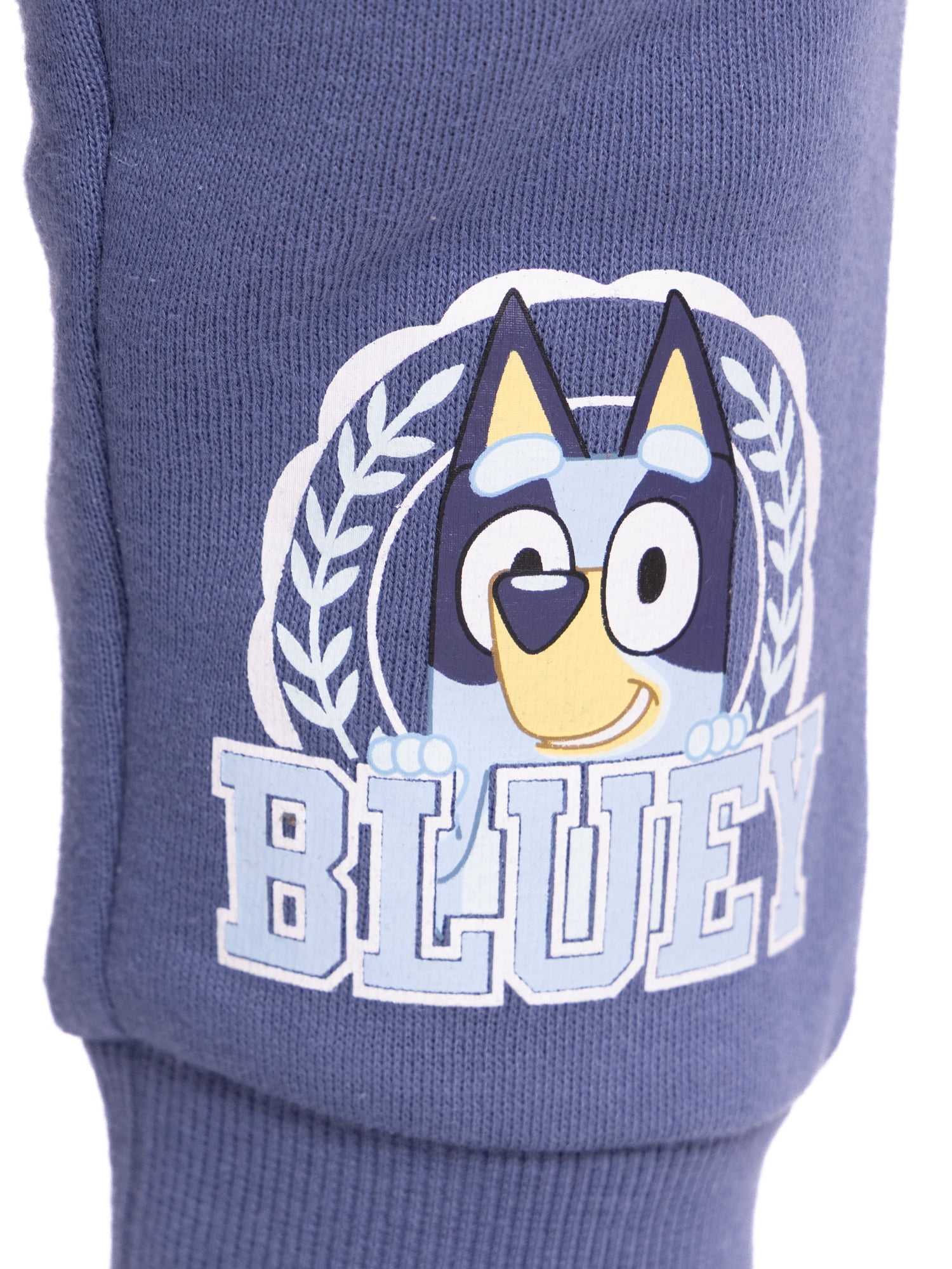 Bluey Toddler Girls Graphic Sweatshirt and Joggers Set, 2-Piece, Sizes 12M-5T