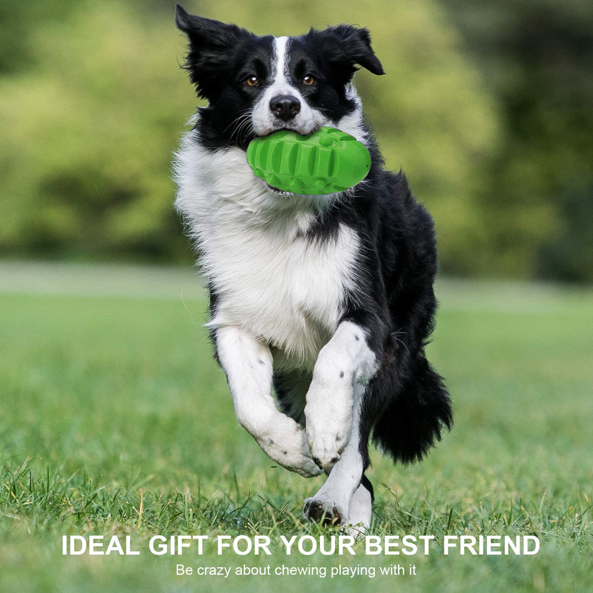 Pet Deluxe Squeaky Rugby Ball Toy for Large Dogs photo 2