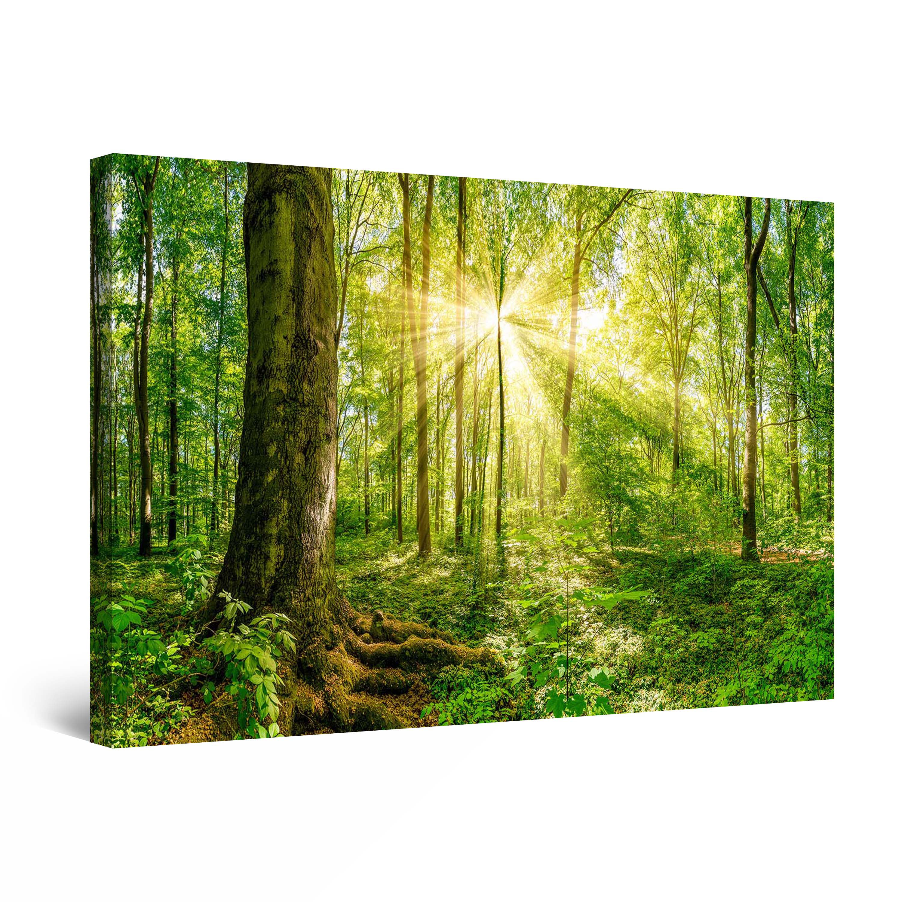 Startonight Canvas Wall Art Abstract - Psychedelic Landscape in Romania ...