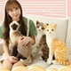 thumbnail image 5 of Gwong Juguete Simulación Cats Design Peluche Relleno Almohada Cojín de animales Sofá Decoración Juguete Gwong 30008573, 5 of 7