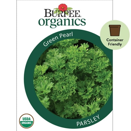 Burpee Organic Green Pearl Parsley Herb Seed, 1-Pack