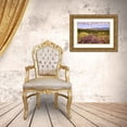 thumbnail image 3 of Hawkins, Peter 14x11 Gold Ornate Wood Framed with Double Matting Museum Art Print Titled - Arizona-Tucson-Saguaro National Park, 3 of 4