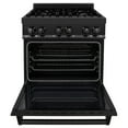 thumbnail image 6 of ZLine RAB30 30 In. Professional Dual Fuel Range, 6 of 22