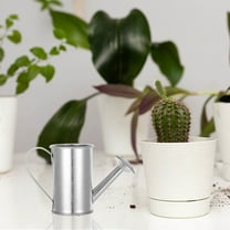 RENACLIPY Silver Galvanized Iron Watering Can Leakproof for Garden and Indoor Use