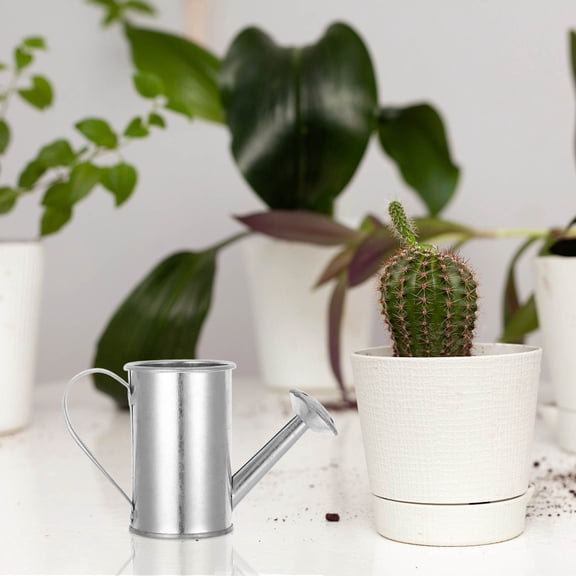 RENACLIPY Silver Galvanized Iron Watering Can Leakproof for Garden and Indoor Use