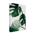 thumbnail image 4 of 1x Studio III 'Monstera Natural 42' Canvas Art, 4 of 4