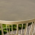 Anthony Outdoor 16 Inch Iron Side Table, Matte Gold