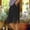 Black, variant on Polka Dots Capris for Womens Casual Pants with Pockets Side Split Crop Trousers Ladies Summer Loose Capris Slacks