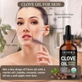 thumbnail image 4 of Organic Clove Essential Oil – 100% Pure, USDA Certified Clove Bud Oil for Teeth & Gums, Toothache Relief, Hair Growth, 4 of 8