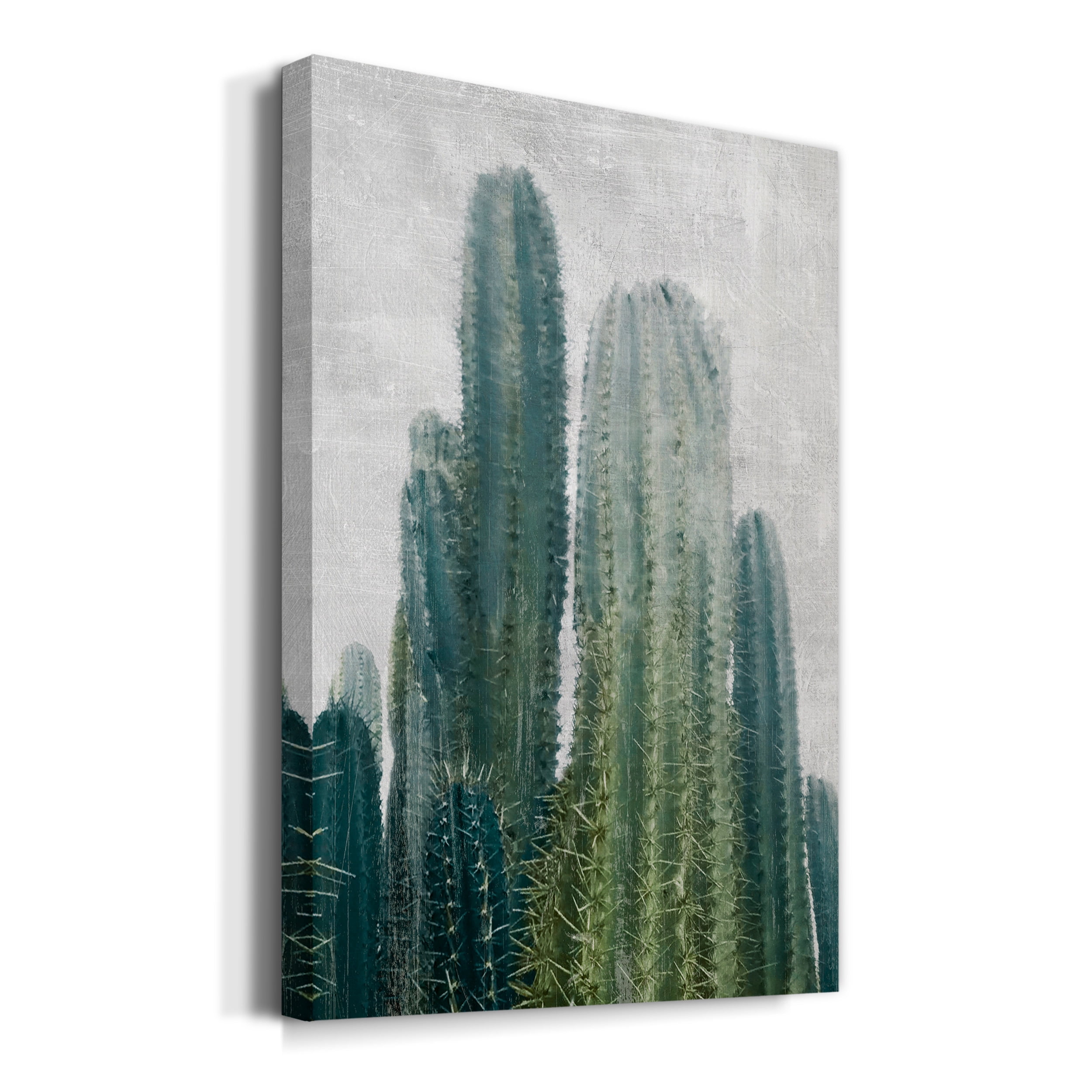 Aruba Cacti II Premium Gallery Wrapped Canvas - Ready to Hang - 32 x 48