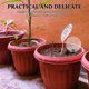 thumbnail image 4 of unbranded 4Ud Insertos De Maceta Autorriego Con Globos De Para Plantas En Interiores Y Jardín, 4 of 7