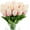 Beige Rose, variant on 10PCS Artificial Tulips Flowers, Real Touch Fake Tulips Flowers, Table Centerpieces Home Decor Indoor Flower Arrangements Decorations