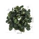 thumbnail image 2 of Houderco Guirnalda De Decorativa Verde Para Puerta Exterior Ideal Para Bodas Y Eventos, 2 of 6