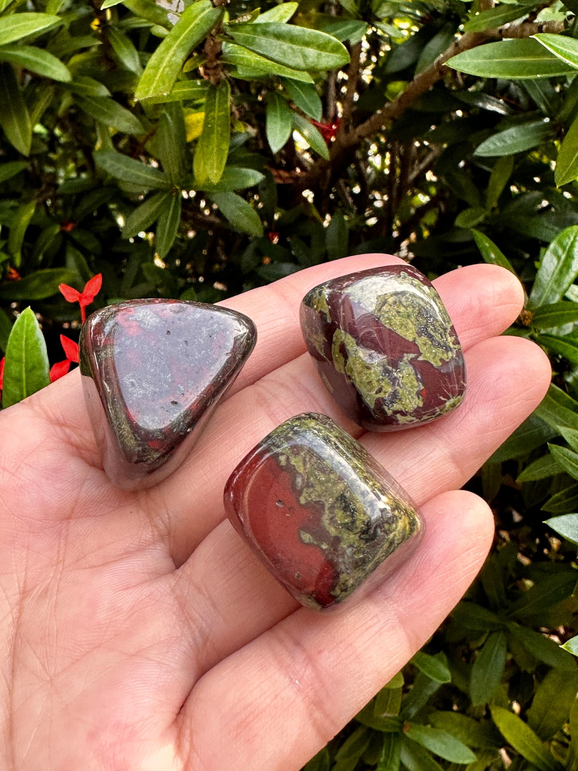 Dragon Blood Jasper Tumbled Stones, Polished Dragon Blood Jasper Gemstone, Dragon Blood Jasper Healing Crystals (Dragon Blood Jasper, 1 Pound)