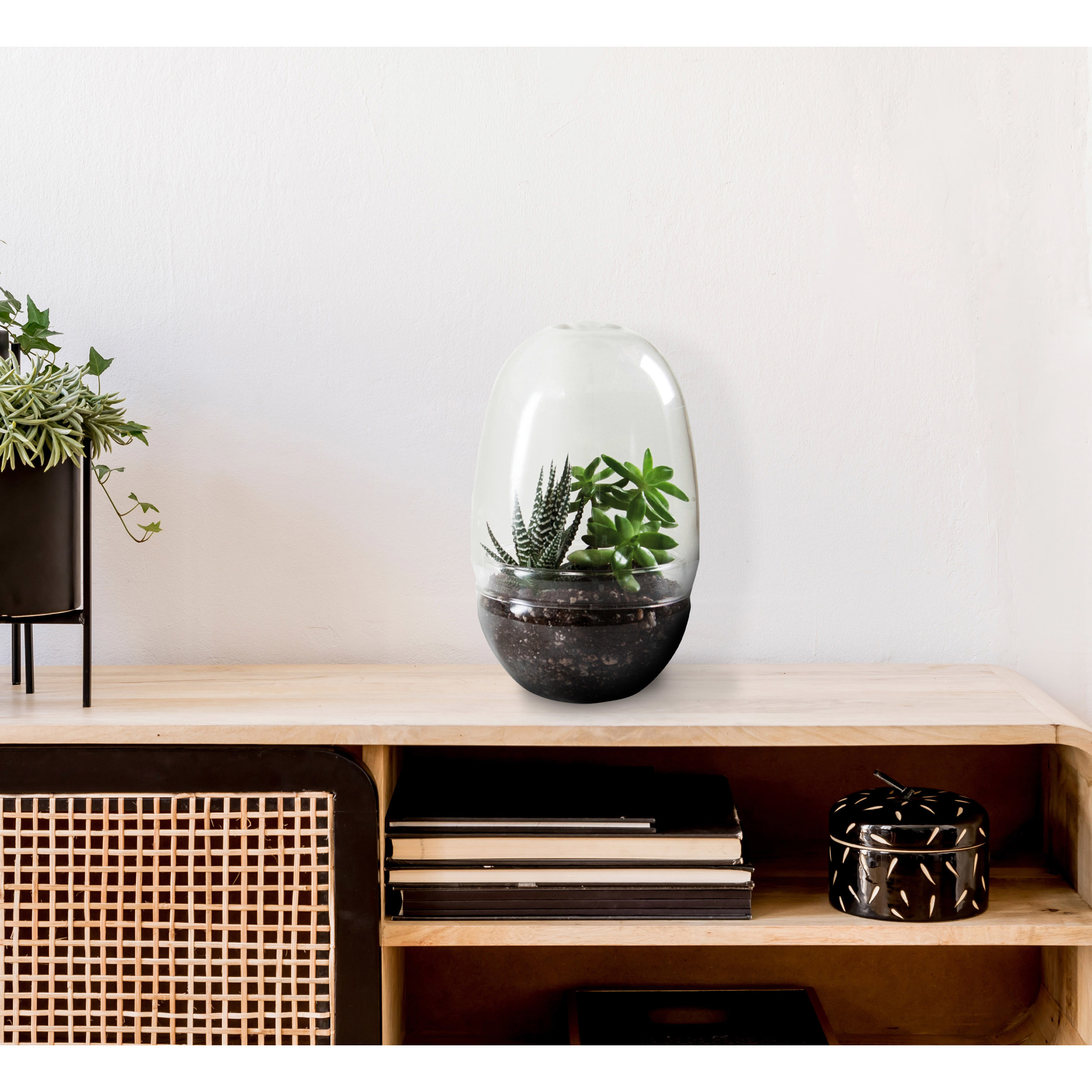 Bloomingville Large Egg Shaped Glass Terrarium, Clear