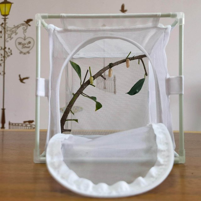 thinsony Mesh Cage Butterfly Habitat Multi Use Ventilation for Backyard Outdoor Zipper