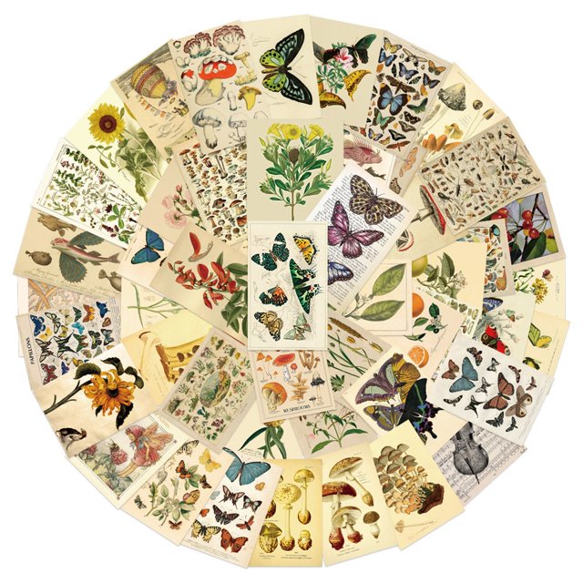 Póster Vintage de plantas, flores, mariposas, pegatinas para coche, portátil, teléfono, decoración de papelería, calcomanías de vinilo, pegatina impermeable, juguetes para niños