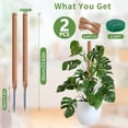 thumbnail image 6 of Oulastool 23.6-Inch Monstera Bendable Coco Coir Moss Stick Plant Support for Indoor Climbing Plants, 6 of 8